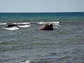 Western Michigan [2010] 861